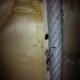 bed bug infestation on a mattress