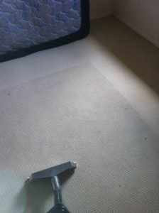 Cleaning Carpet Edges