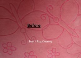 Rug Steam Cleaning