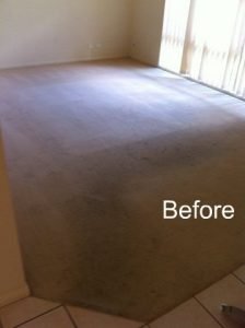 Carpet Steam Cleaning