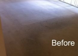 Carpet Steam Cleaning