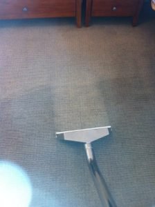 carpet cleaner