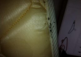 Bedbugs live in the edges of mattresses