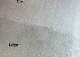 Synthetic Carpet Cleaning