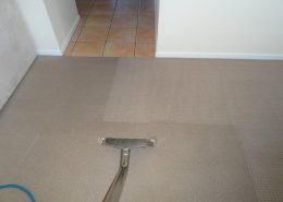 carpet cleaning brisbane