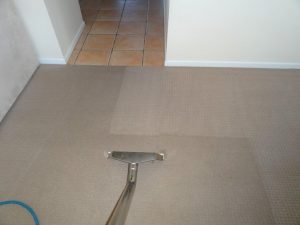 Carpet Steam Cleaning