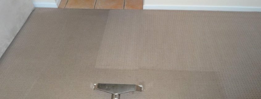 carpet cleaning brisbane