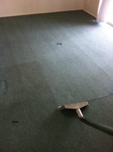 carpet cleaning