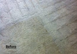 Wool Carpet Cleaning