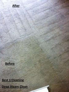 Synthetic Carpet Cleaning 