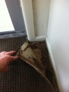 Damage Carpet & Underlay