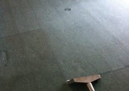 Nylon Carpet Cleaning