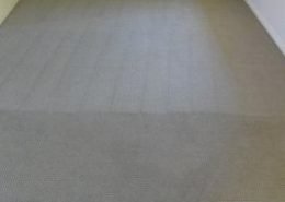 Carpet Steam Cleaning Results