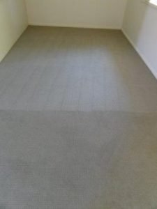 Carpet Steam Cleaning Results