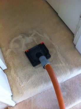 Carpet Spot Stain Removal
