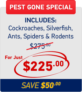 pest gone special