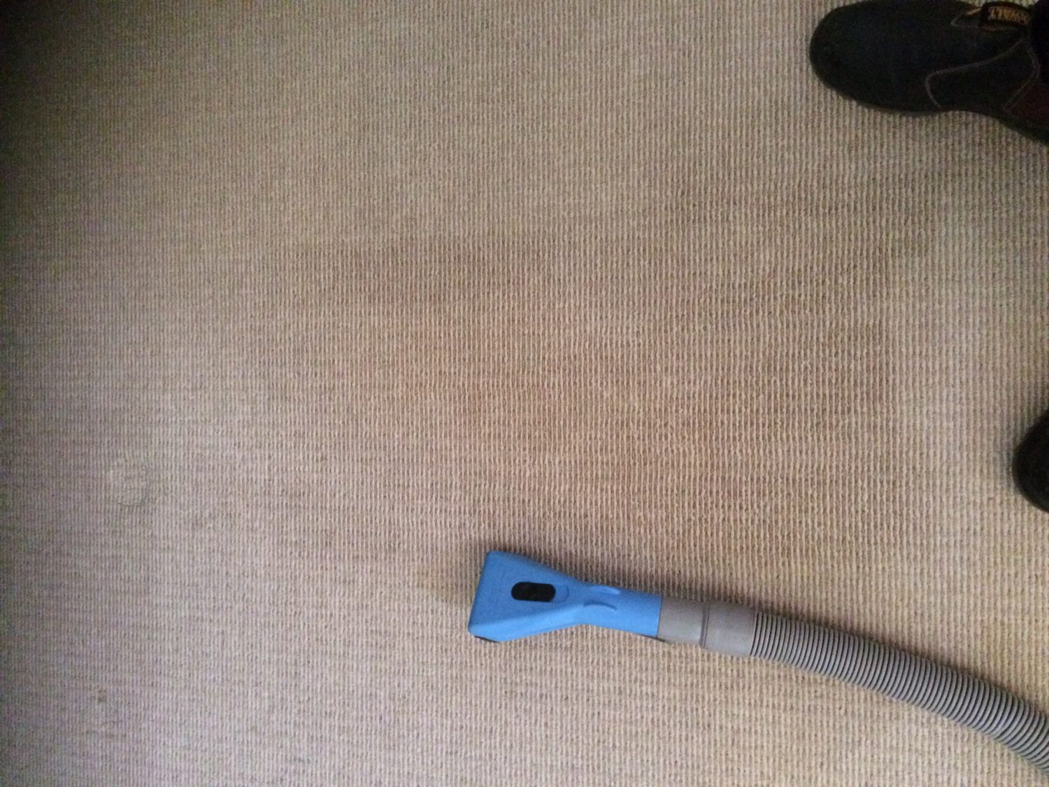 Removing red wine from cream carpet Best 1 Cleaning and Pest Control