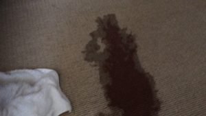 carpet cleaning of red wine stain