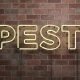 PestControlGraphic