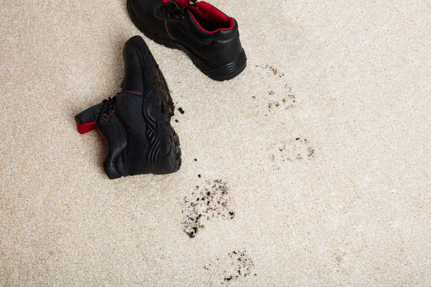 Get Mud Stains Out Of Carpet, How To Clean A Muddy Rug