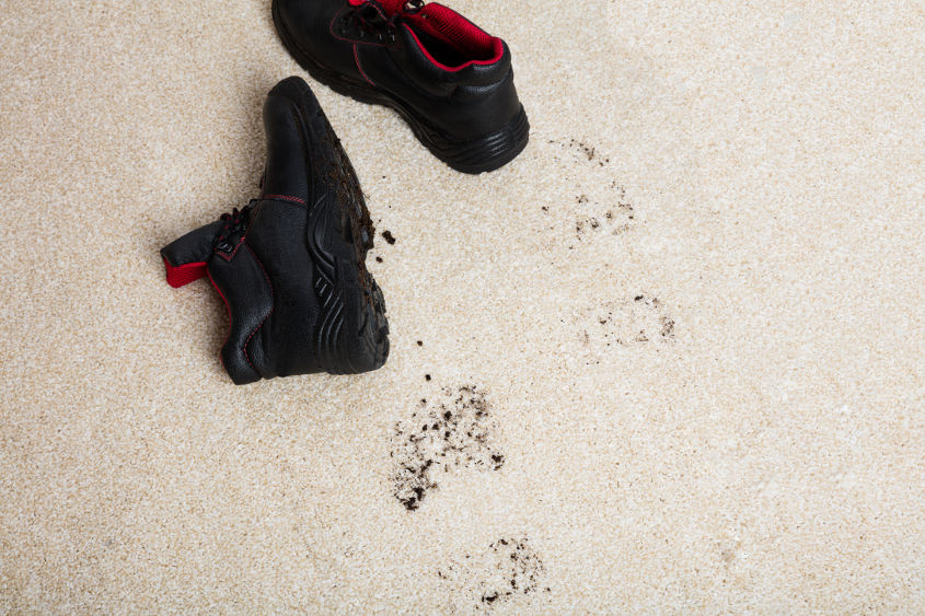 How to Get Mud Out of Your Carpet