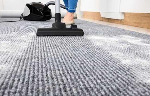 Carpet Cleaning And Pest Control In Brisbane Best 1