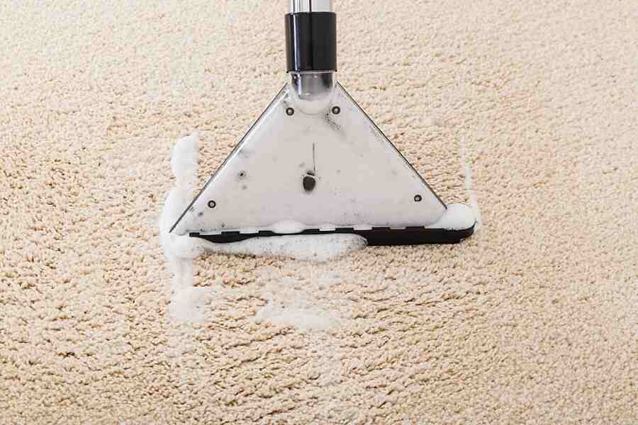 Guide to Carpet Cleaning - All Your Questions Answered